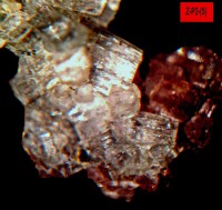 /album/galerie-photos/pic-d-espade-axinite-et-zeolite-indeterminee-15408-jpg1/